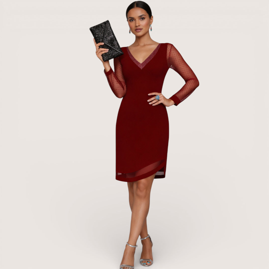 Serena | Women’s Mesh Sleeve V-Neck Dress