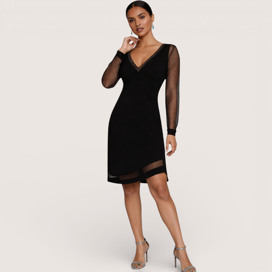 Serena | Women’s Mesh Sleeve V-Neck Dress
