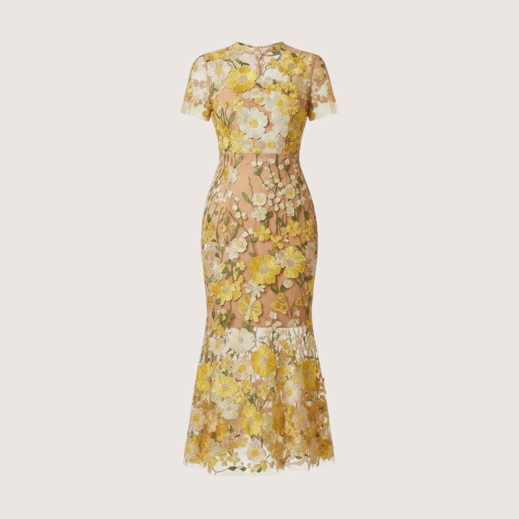 Liora | Women’s Floral Embroidered Mesh Midi Dress