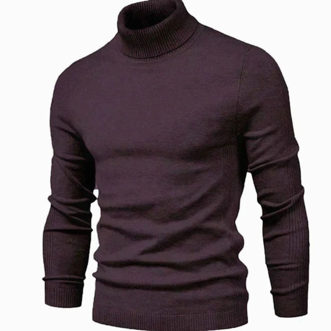 William | Men's Ribbed Turtleneck Knit Sweater